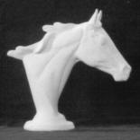 Thoroughbred head large