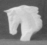 Thoroughbred head small